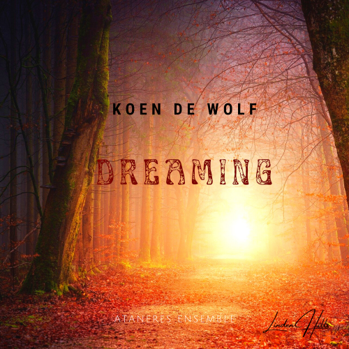 Dreamig cover